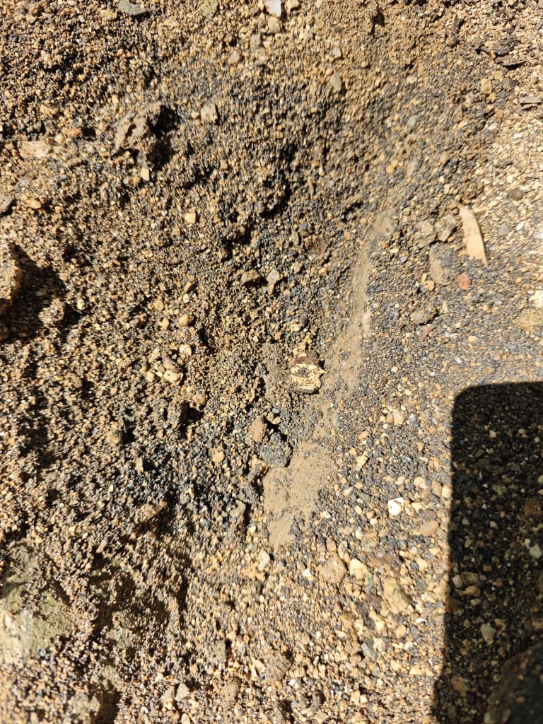 Zona de muestreo en campo